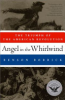 Angel_in_the_whirlwind