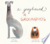 A_greyhound__a_groundhog