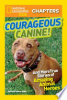 Courageous_canine