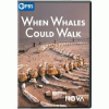 When_whales_could_walk