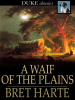 A_Waif_of_the_Plains