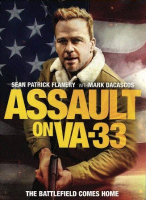 Assault_on_VA-33