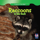 Raccoons_in_the_dark