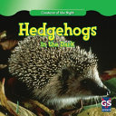 Hedgehogs_in_the_dark